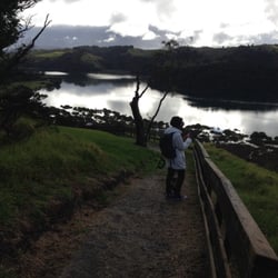 Wenderholm Regional Park - Brief clearing for some beautiful views