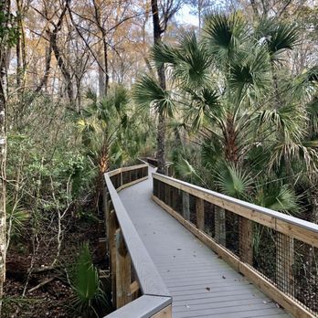 John Chesnut Sr Park - Parks Near Me - Palm Harbor, Florida