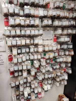 The Dragon and The Rose by null