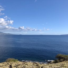 02/12/2020: Waiting for the humpback whales to show up... 02/12/2020: Waiting for the humpback whales to show up...