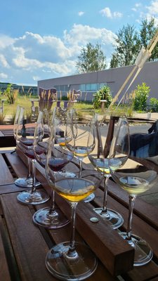 Southbrook Organic Vineyards by null