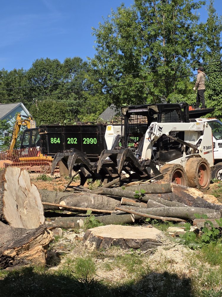 Morales Services - tree service in Greenville, SC