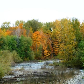 Schwab Realty - Dungeness river fall time - Real Estate Services Near Me - Sequim, Washington Schwab Realty - Dungeness river fall time - Real Estate Services Near Me - Sequim, Washington