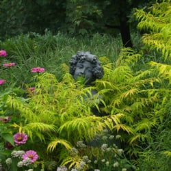 Deepcut Perennial Nursery - garden pic