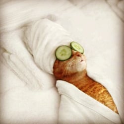 Skin Meow
