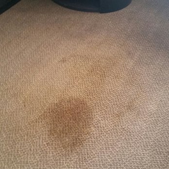 Sonesta Simply Suites Phoenix Glendale - Pee stain on carpet - Hotels Near Me - Phoenix, Arizona