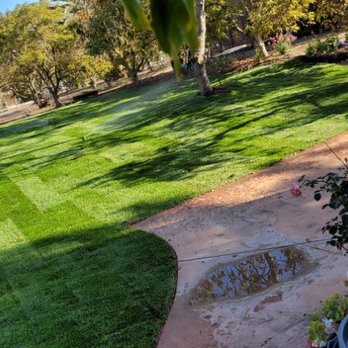 Adrians Landscaping - After - Landscaping Near Me