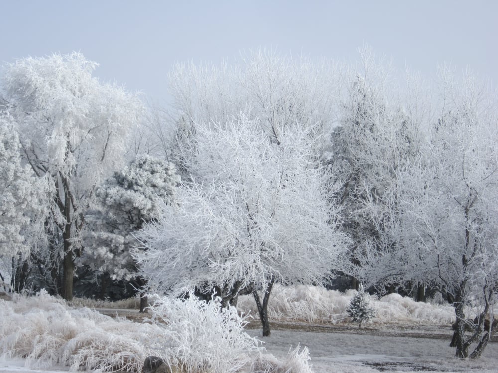 Tallgrass Recovery & Sober Living Homes - social services organization in Sioux Falls, SD
