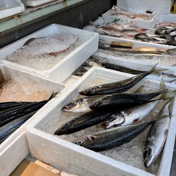 魚屋 宇崎日新 宇崎日新 2WAY 遊々山(ゆうゆうざん) ZX ※硬調3.3 : 釣具の