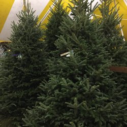 Mikes Christmas Trees