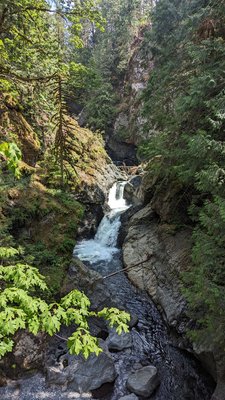 Twin Falls Natural Area by null