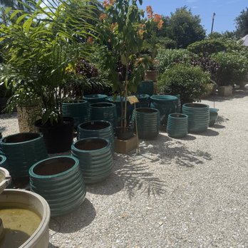 SmartyPlants Nursery - Landscaping Near Me - Lake Worth, Florida