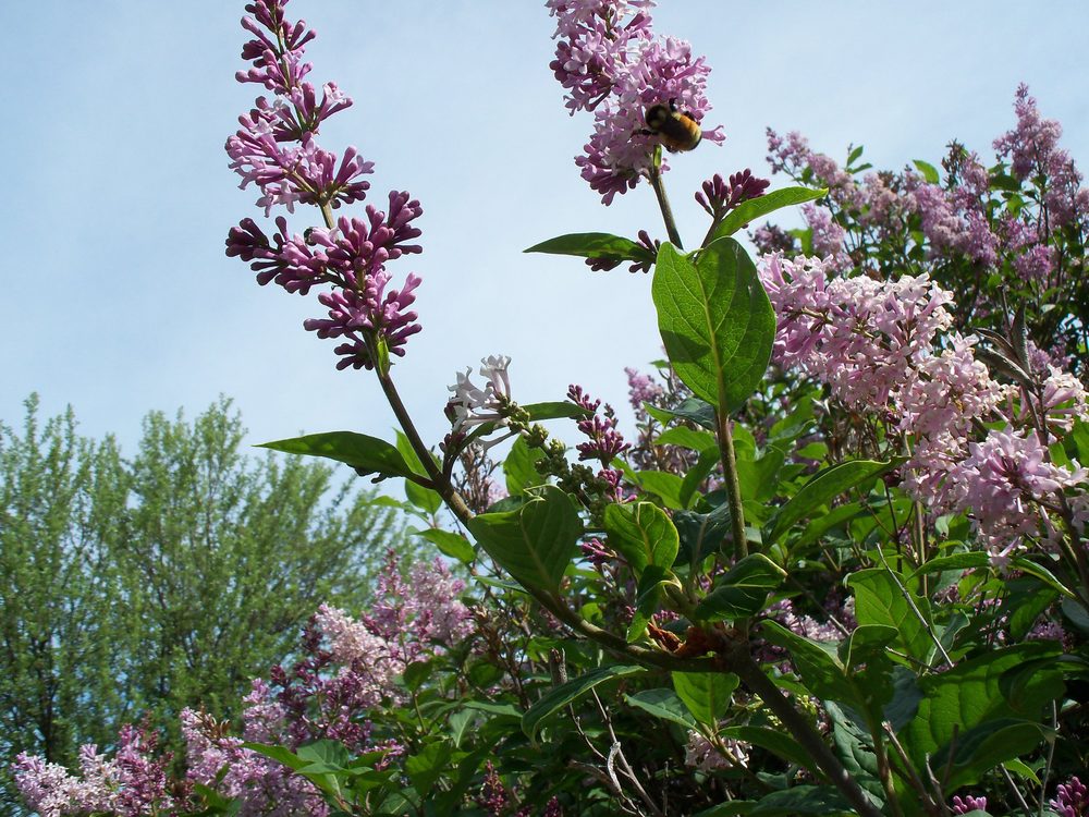 HAVEN NORTH CONDOMINIUMS 18 Photos 1075 La Rue Ct, Hurley