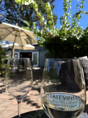 Wy'East Vineyards by null