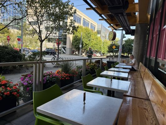 Cactus South Lake Union by null