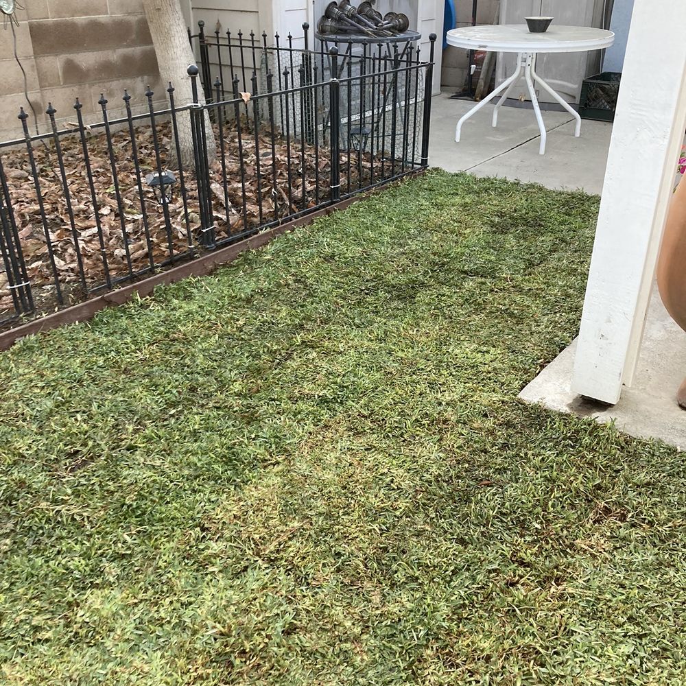 Yard Yard