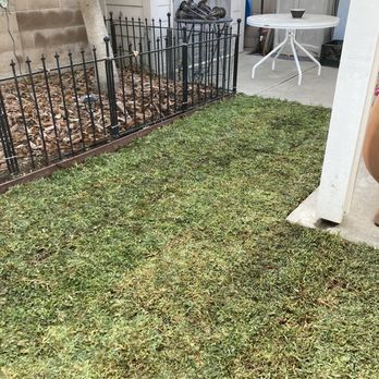 Romero's Tree & Landscaping Services - Yard - Tree Services Near Me - Orange, California Romero's Tree & Landscaping Services - Yard - Tree Services Near Me - Orange, California