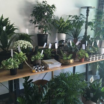 Grounded Plant & Floral - Nurseries & Gardening Near Me - Indianapolis, Indiana