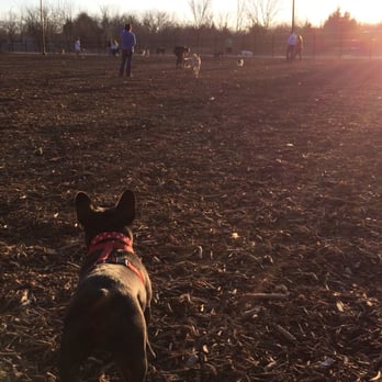 McKinney Dog Park - She is checking things out.. - Dog Parks Near Me - McKinney, Texas