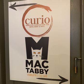 Curio Craft & Conjure - Supernatural Readings Near Me - Charlotte, North Carolina