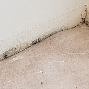 Bio Safety Clean - After the baseboard was removed - Biohazard Cleanup Near Me Bio Safety Clean - After the baseboard was removed - Biohazard Cleanup Near Me