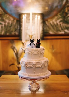 SusieCakes - Marin by null