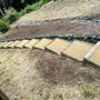 Eco-Gardening