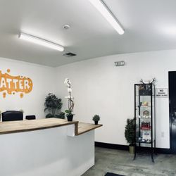 Shatter Dispensary