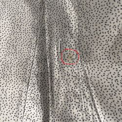 Plush French Cleaners - Small light stain on the front side.