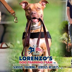 Serious Training, Serious Results.