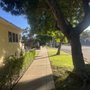 AG Garden Service and Junk Removal