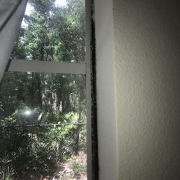 Moldy window. Moldy window.