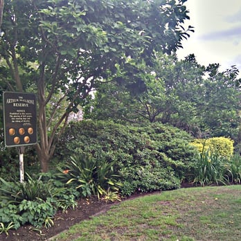 Arthur McElhone Reserve - Landmarks & Historical Buildings Near Me - Elizabeth Bay, NSW