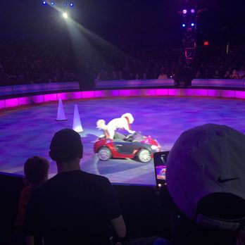 Big Apple Circus - Arts & Entertainment Near Me - Oxon Hill, Maryland Big Apple Circus - Arts & Entertainment Near Me - Oxon Hill, Maryland