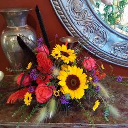 City Gardener & Florist