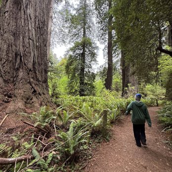 Prairie Creek Redwoods State Park - Parks Near Me - Orick, California Prairie Creek Redwoods State Park - Parks Near Me - Orick, California