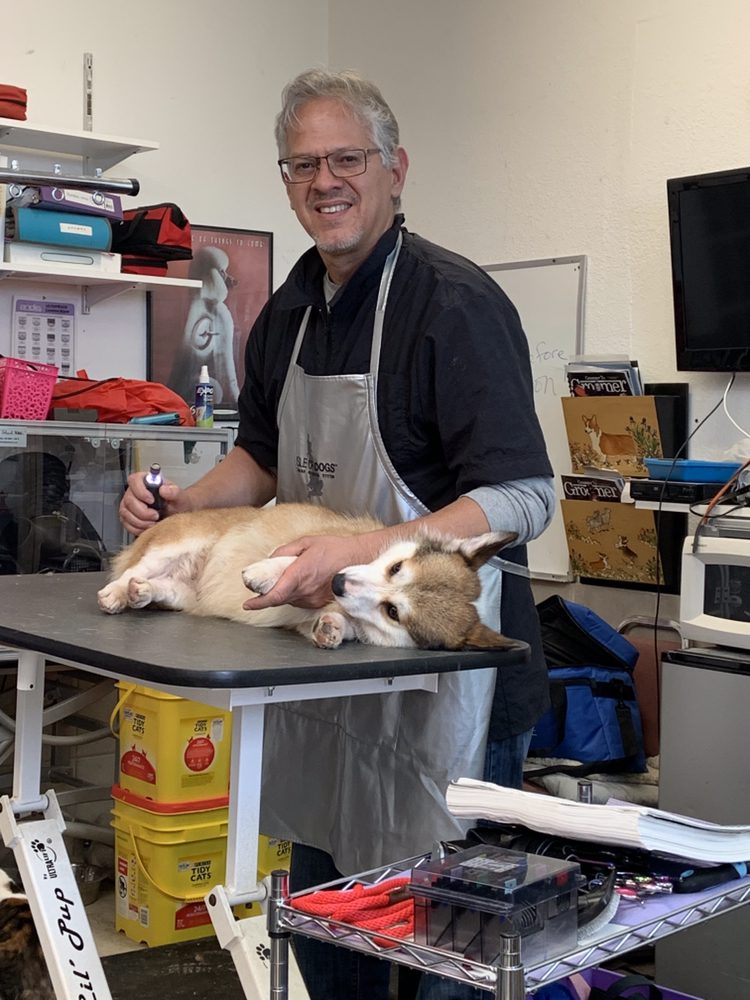 MR GROOMER MOBILE Updated September 2024 39 Photos & 56 Reviews