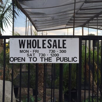 S-Y Nursery - Nurseries & Gardening Near Me - Cerritos, California