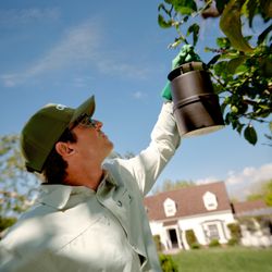 Aptive Pest Control - Outdoor pest treatment for trees and landscaping
