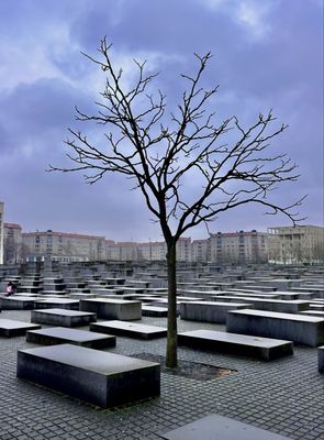 Memorial to the Murdered Jews of Europe by null Memorial to the Murdered Jews of Europe by null