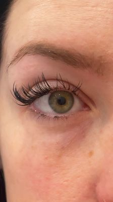 Celebrity Lash and Brow Design