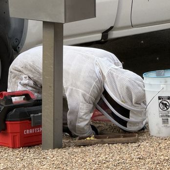 Bee Craft Handyman Service - Bee Hive Removal - Pest Control Near Me