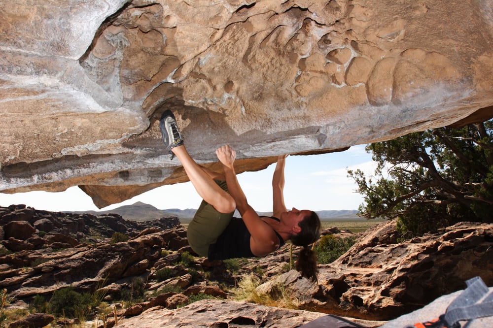 Blue Lizard Climbing and Yoga Logo