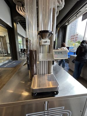Roasting Plant Coffee by null