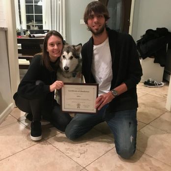 The Perfect Pup - Mika - Pet Training Near Me The Perfect Pup - Mika - Pet Training Near Me