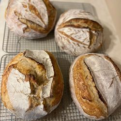 Bread Artist