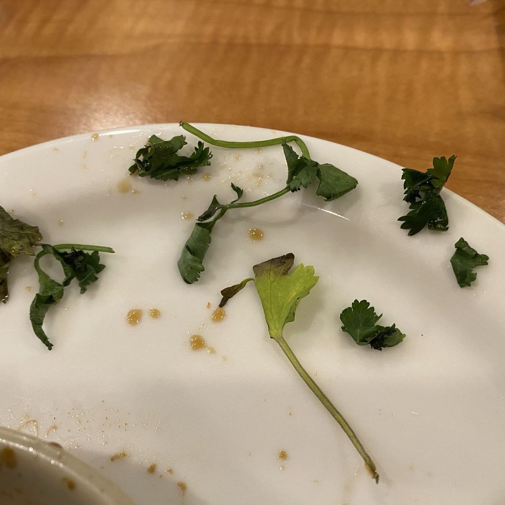 Cilantro that belongs in a compost bin Cilantro that belongs in a compost bin