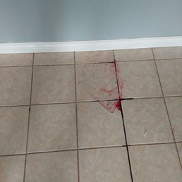 Kitty poo, and leakage from garbage bags left in kitchen
