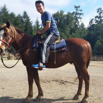 Five Brooks Ranch - Had a blast riding Scout, great lesson i learnt to ride quickly - Horseback Riding Near Me - Olema, California Five Brooks Ranch - Had a blast riding Scout, great lesson i learnt to ride quickly - Horseback Riding Near Me - Olema, California