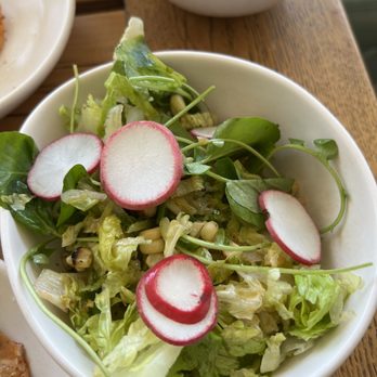 Tocaya Modern Mexican - Mexican Near Me - Studio City, California